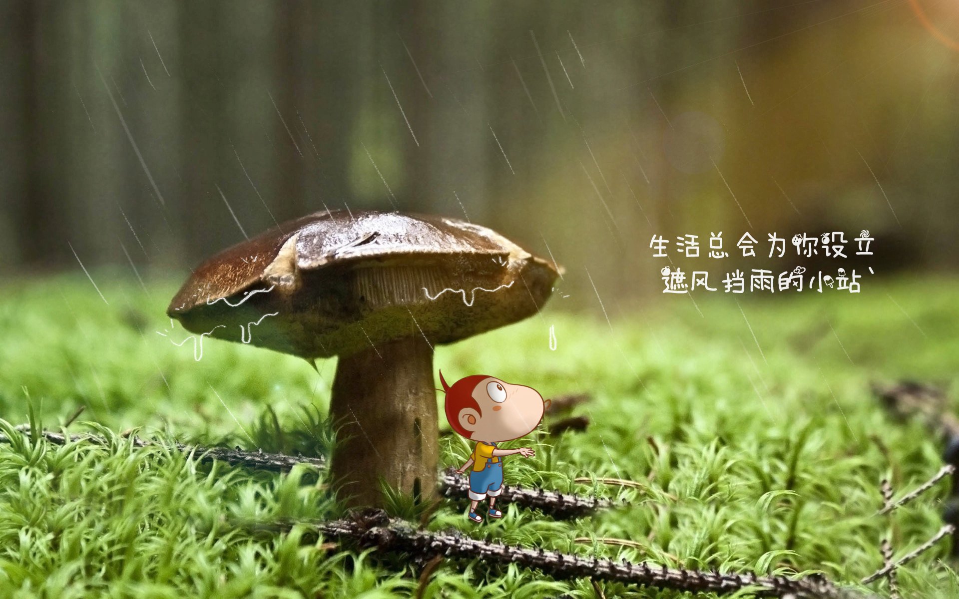 _沙漠赛车：穿越荒漠的速度与冒险_，沙漠跑车赛道