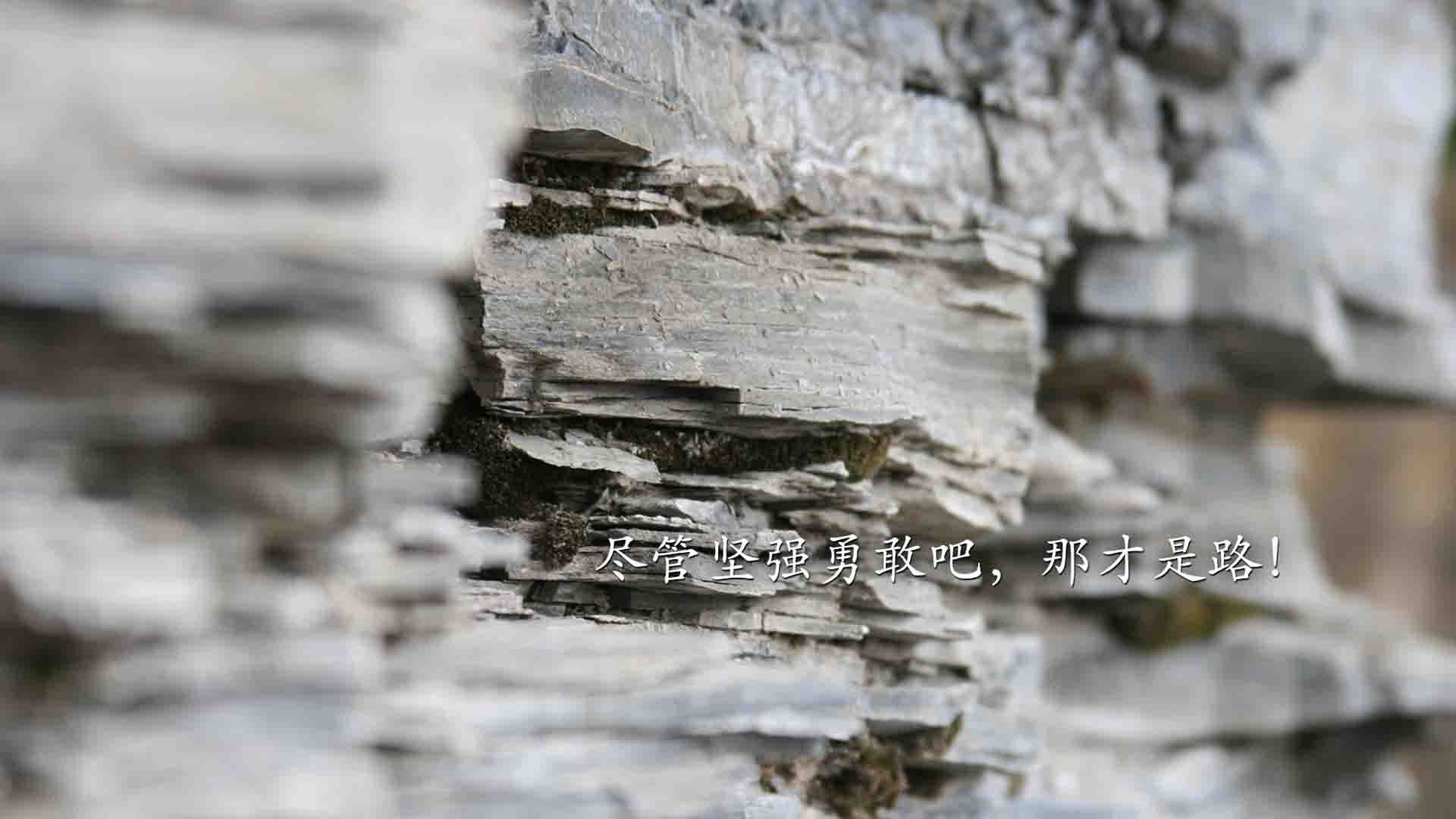传统文化武术操大赛，青春身手展现民族魅力，武术操介绍