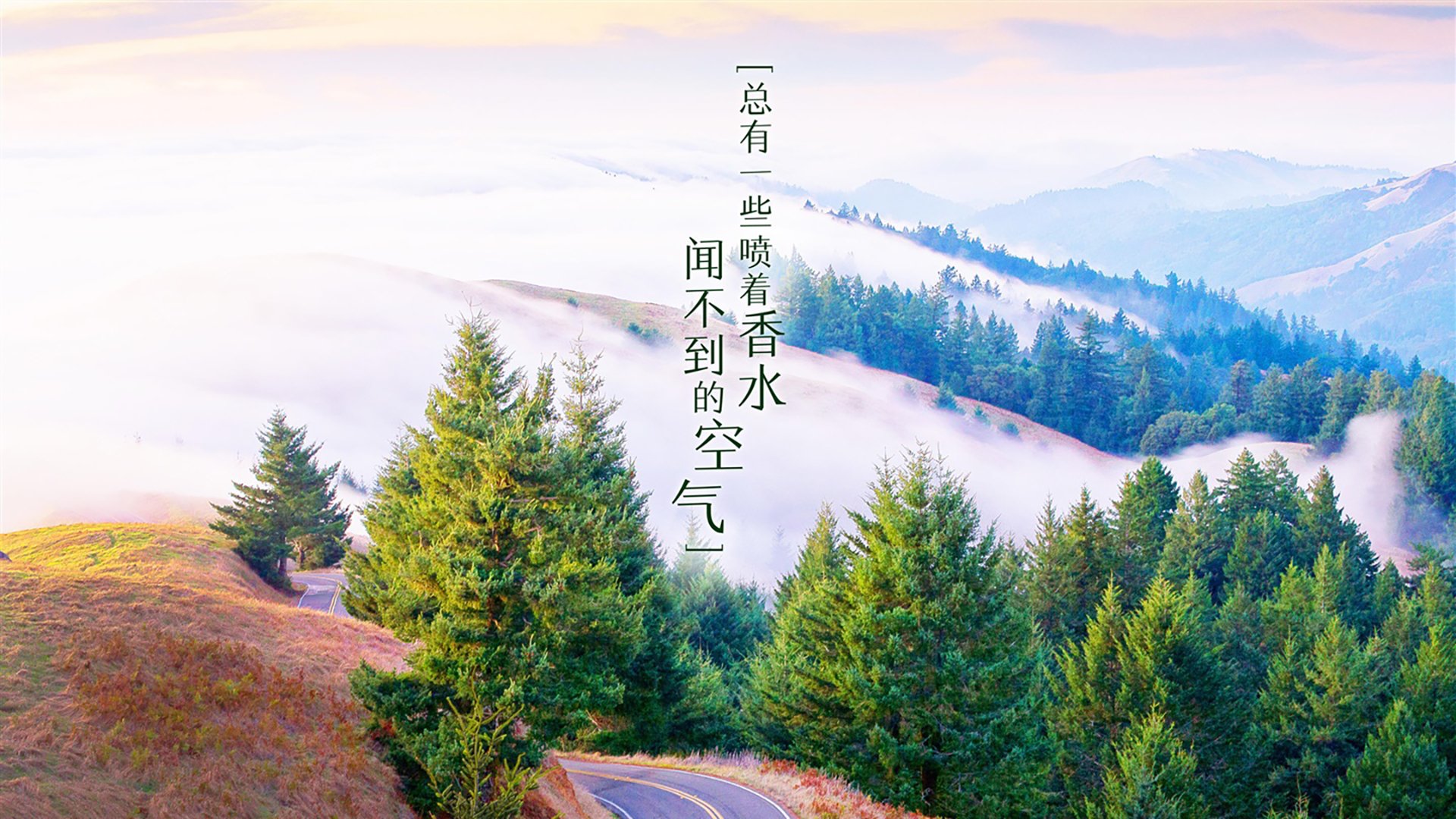 法甲夜场大战，精彩传球和精彩扑救交相辉映，法甲足球比赛