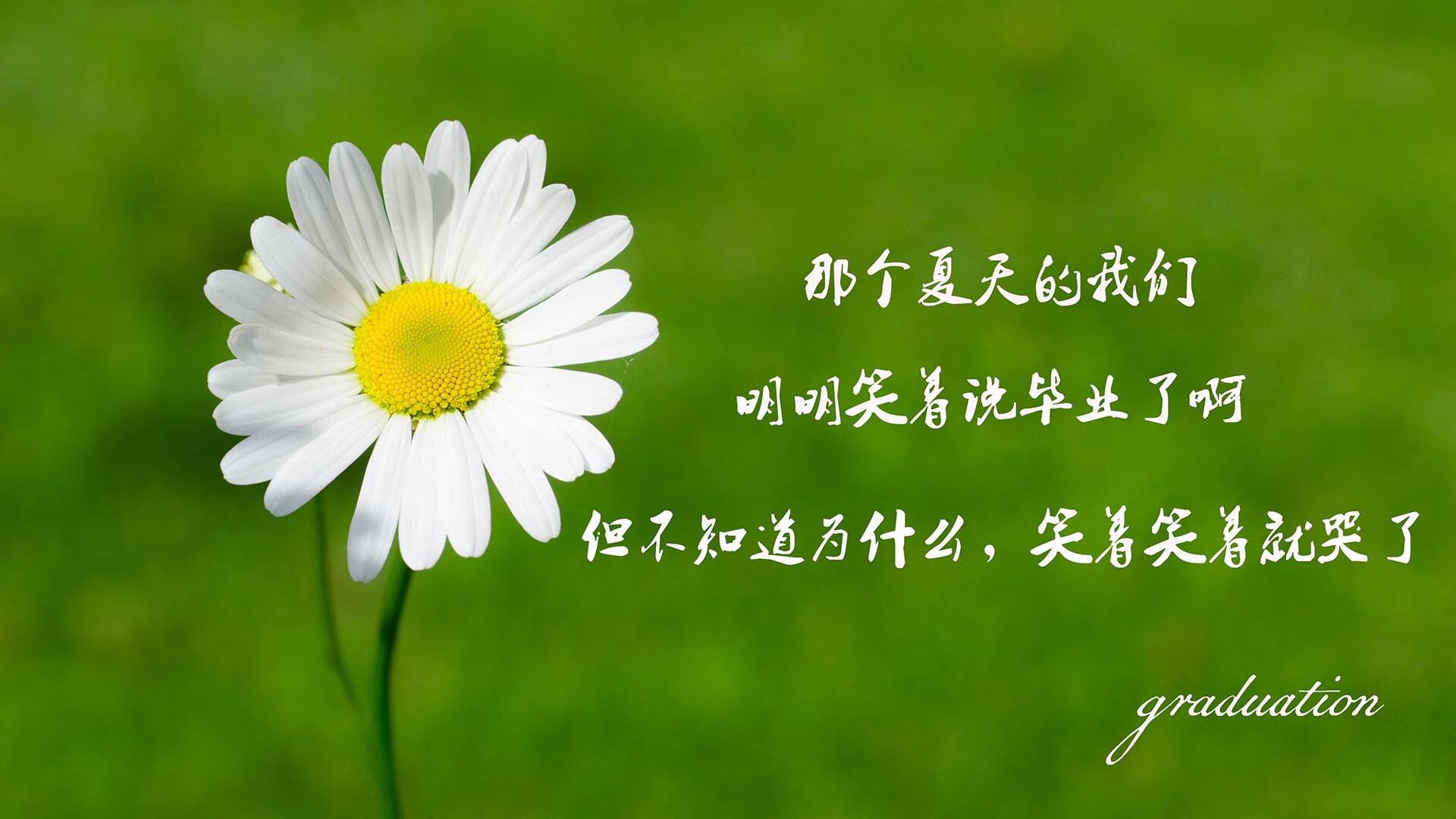 卢森堡迎战阿塞拜疆，欧洲国家联赛争斗激烈，58岁卢森堡运动员