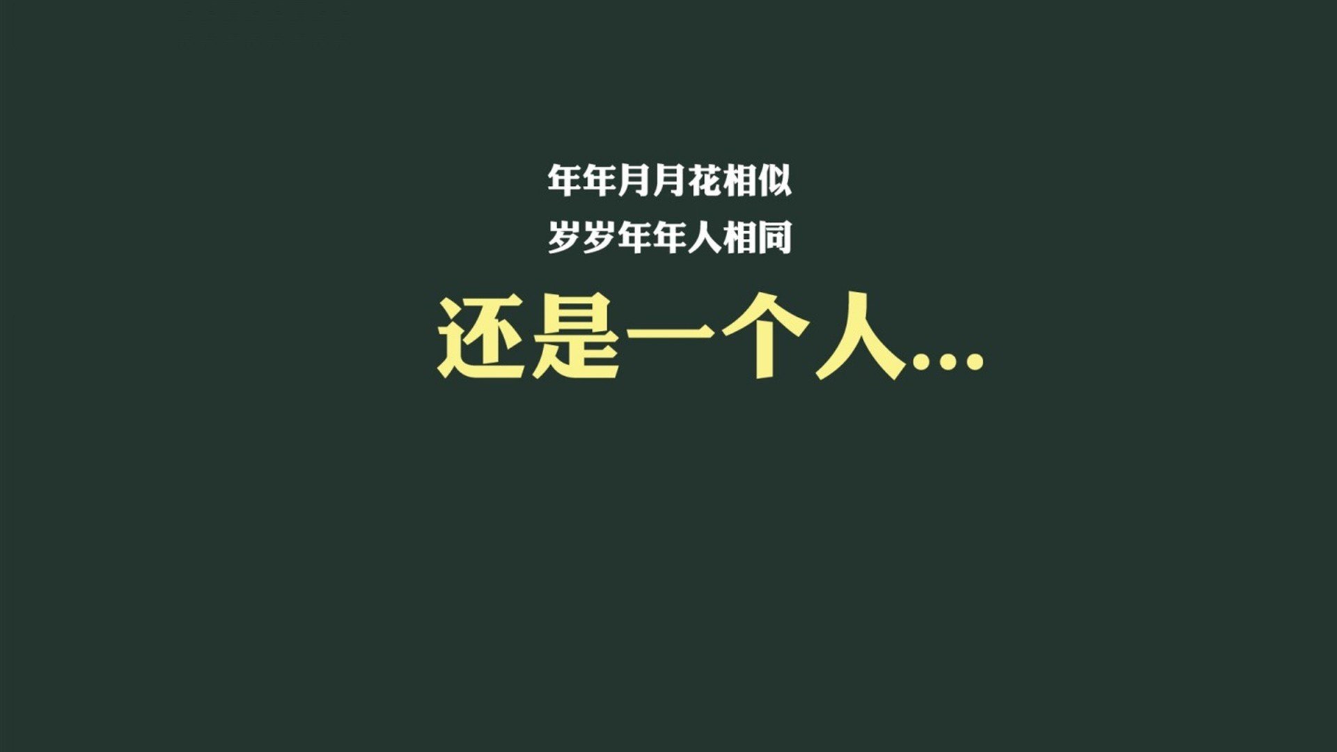 NBA联盟女性观众群体内容偏好研究，nba观众席的美女