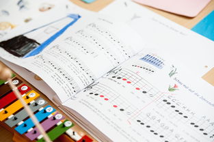 Kaiyun官方登录入口-中小学体育教师继续教育体系建设与实施研究，小学体育继续教育考试试题及答案