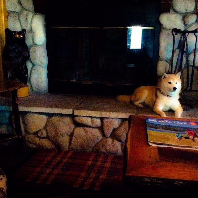 开云体育APP下载-PSG防线漏洞被切尔西前锋多次利用，切尔西后防线