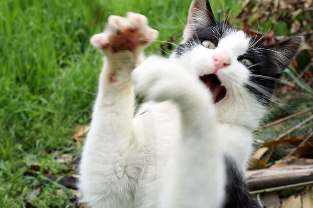 Kaiyun(中国)开云-世界杯预选赛中国青年队惨败 战术执行需改进，世界杯预选赛中国队怎么样了