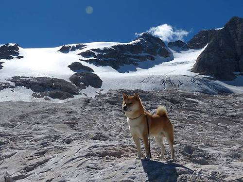本土教练缺少临场指挥临界条件实操训练，教练员临场可调整机会等级最弱的项目