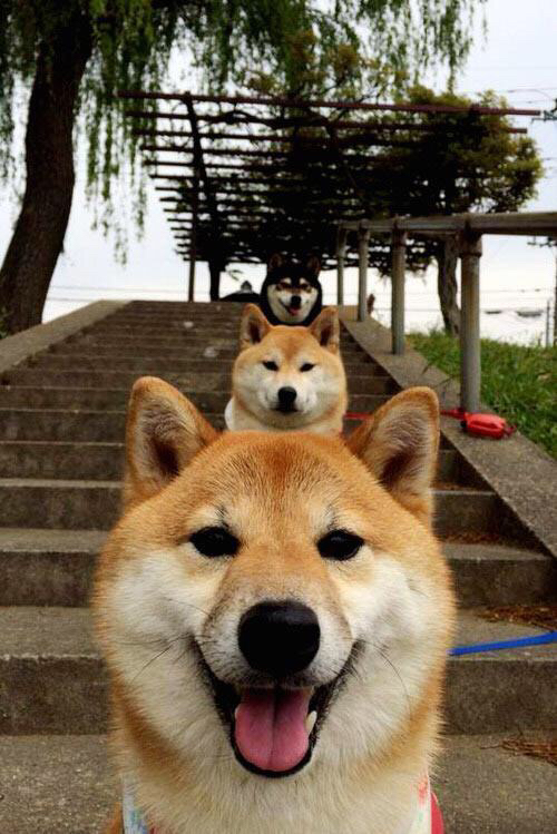 Kaiyun(中国)开云-丹·卡特：改变世界橄榄球踢球方式的全黑队传奇人物，丹麦橄榄球