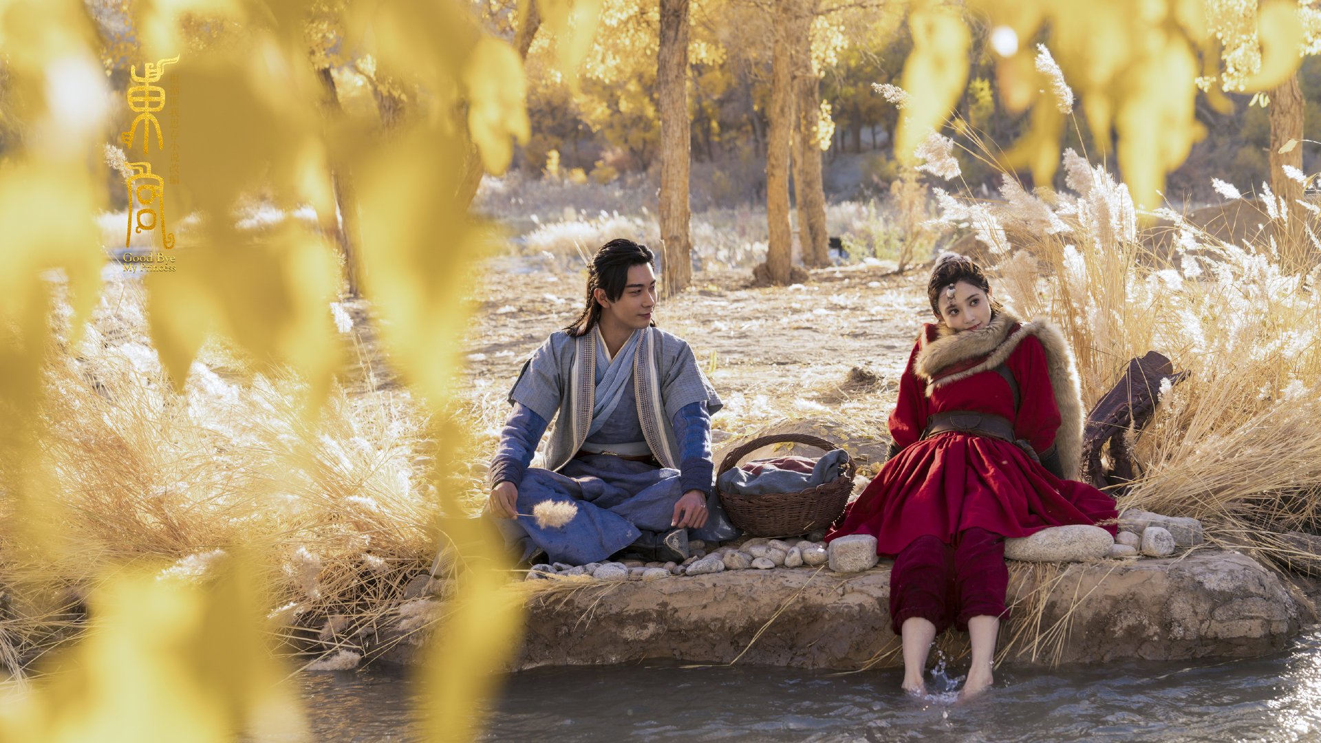 黄蜂主场翻新计划正式启动，黄蜂主帅